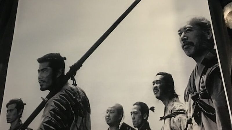 商场绿植租摆：从选品到维护的完整流程**