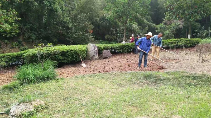 园林石材荔枝面与火烧面：差异解析与选择要点**