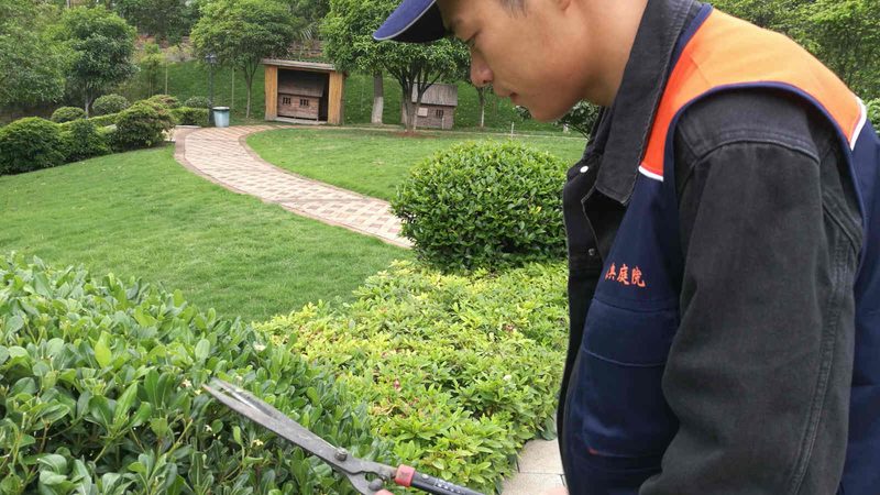 自动灌溉立体绿化墙：打造城市绿色新景观**