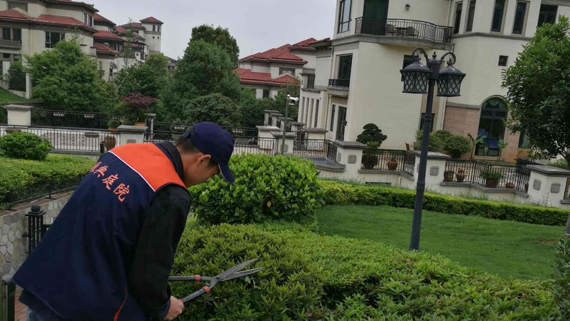 屋顶绿化报价单多少钱一平？揭秘屋顶绿化成本构成与影响因素