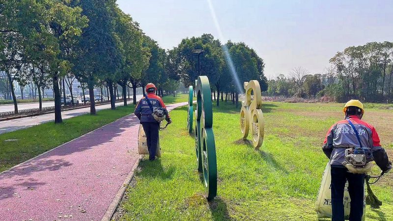 广州绿植租赁价格解析：影响因素与合理预算**