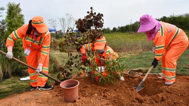 北京小区绿化养护收费标准2025：揭秘背后的考量因素