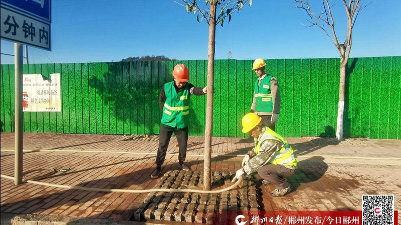小区绿化灌木间距，如何科学规划？**