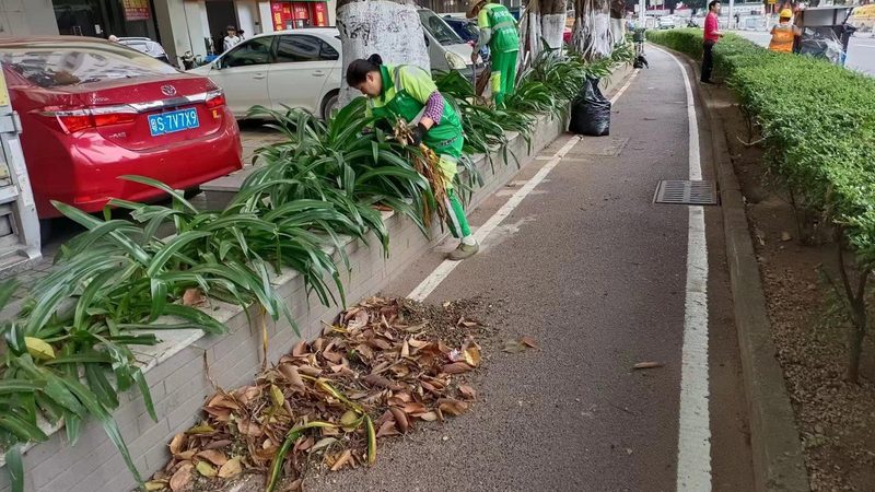 垂直绿化墙单元模块尺寸多大