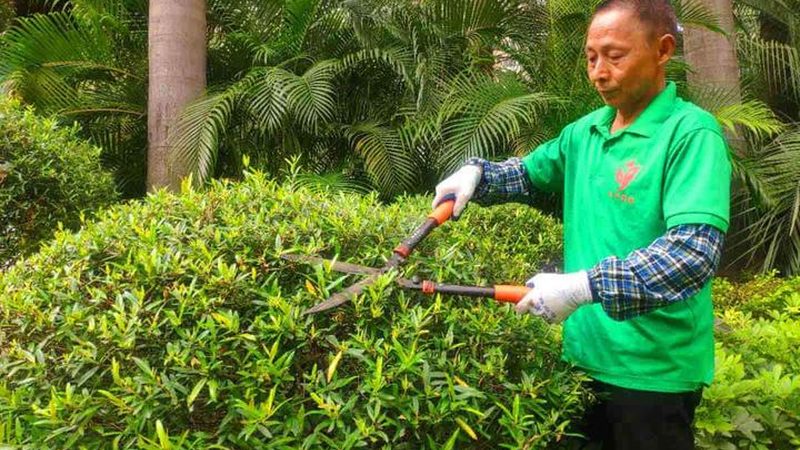 屋顶绿化每平米造价揭秘：成本构成与影响因素