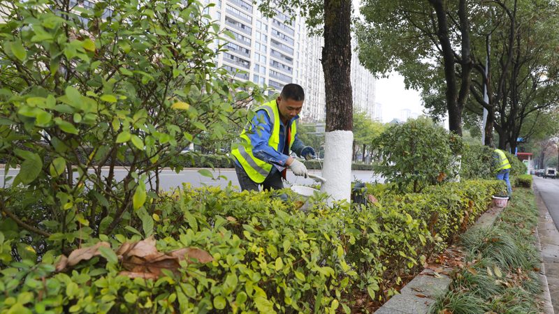 屋顶绿化草坪施工报价解析：关键因素与合理预算**